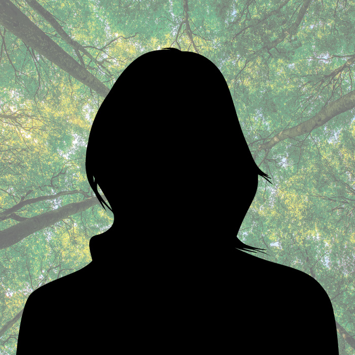 Web solution company in kochi