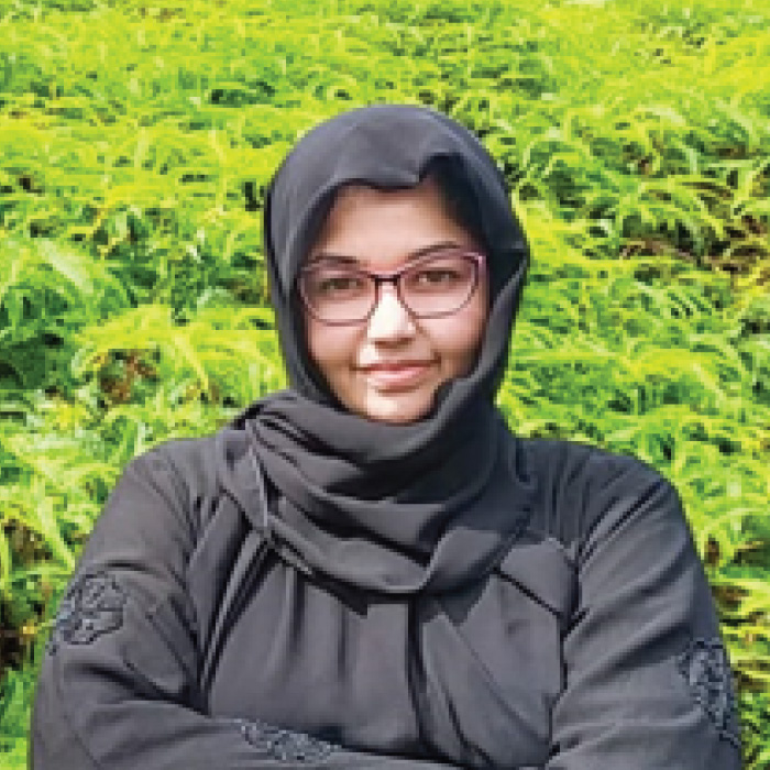 Web solution company in kochi